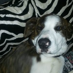 Meet your Posher, Chloe